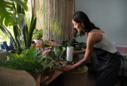 5 Steps Towards a Healthier Home