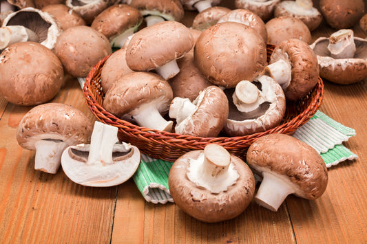 Health Benefits of Mushrooms
