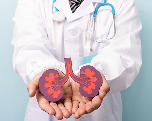 Keep Your Kidneys Healthy