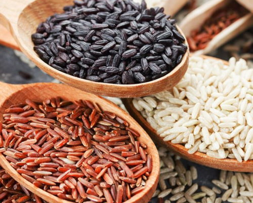 Black, Brown, or Red? How to Choose Organic Rice – Healthy Options