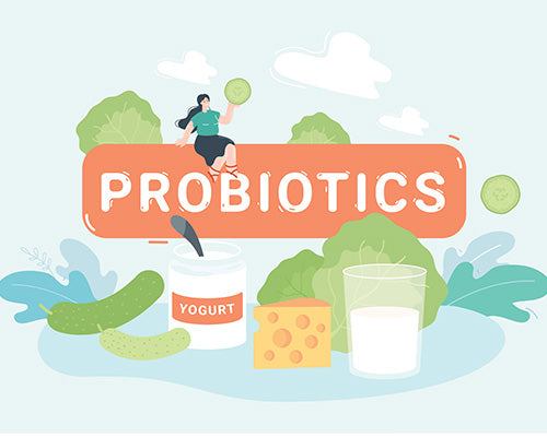 Probiotics: The Friendly Bacteria – Healthy Options