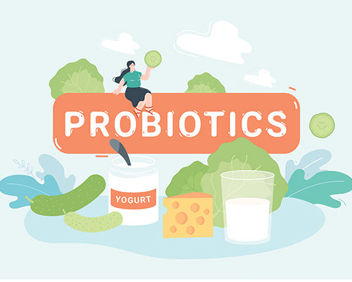 Probiotics: The Friendly Bacteria