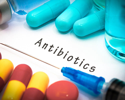 FAQ on Antibiotic Use