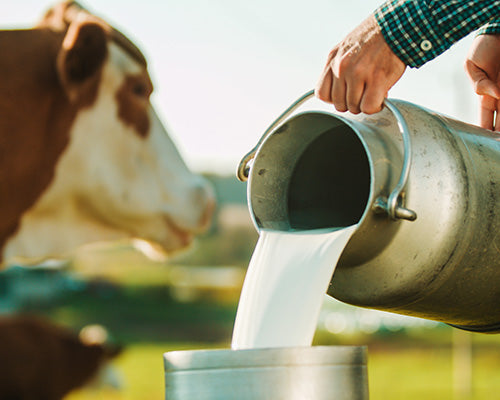 Nutritional Value of Milk