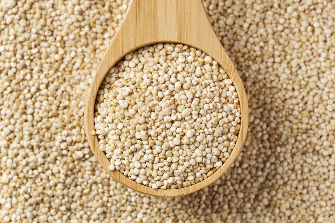 10 Types of Whole Grains for Your Healthy Diet