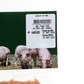 Frozen Healthy Options Pork Ham Slices 3mm 500g