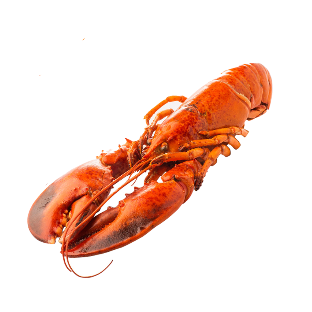 Frozen Healthy Options Canadian Lobster 400g