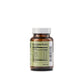 Healthy Options Green Tea Extract 60 Capsules