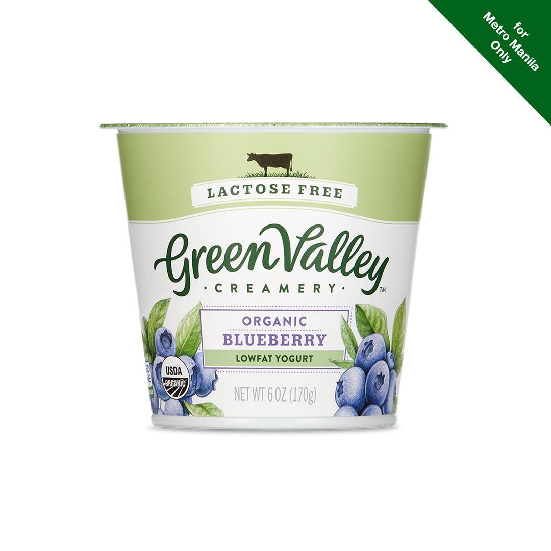 Chilled Green Valley Creamery Organic Blueberry Low Fat Yogurt 170 grams